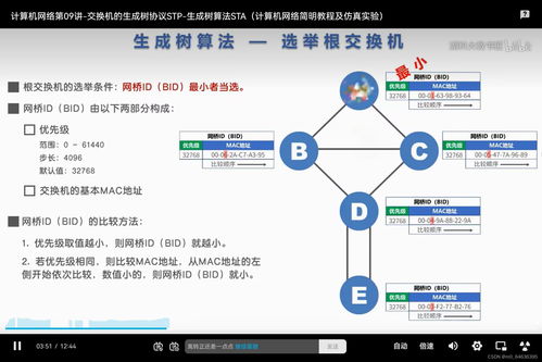 生成树协议（STP）的选举机制与端口角色解析